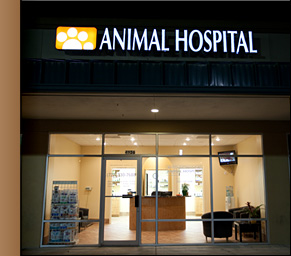 Ridgemoor Animal Hospital - New Client Registration